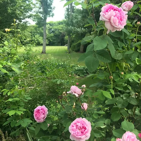 Bed & Breakfast Thyholm B&B